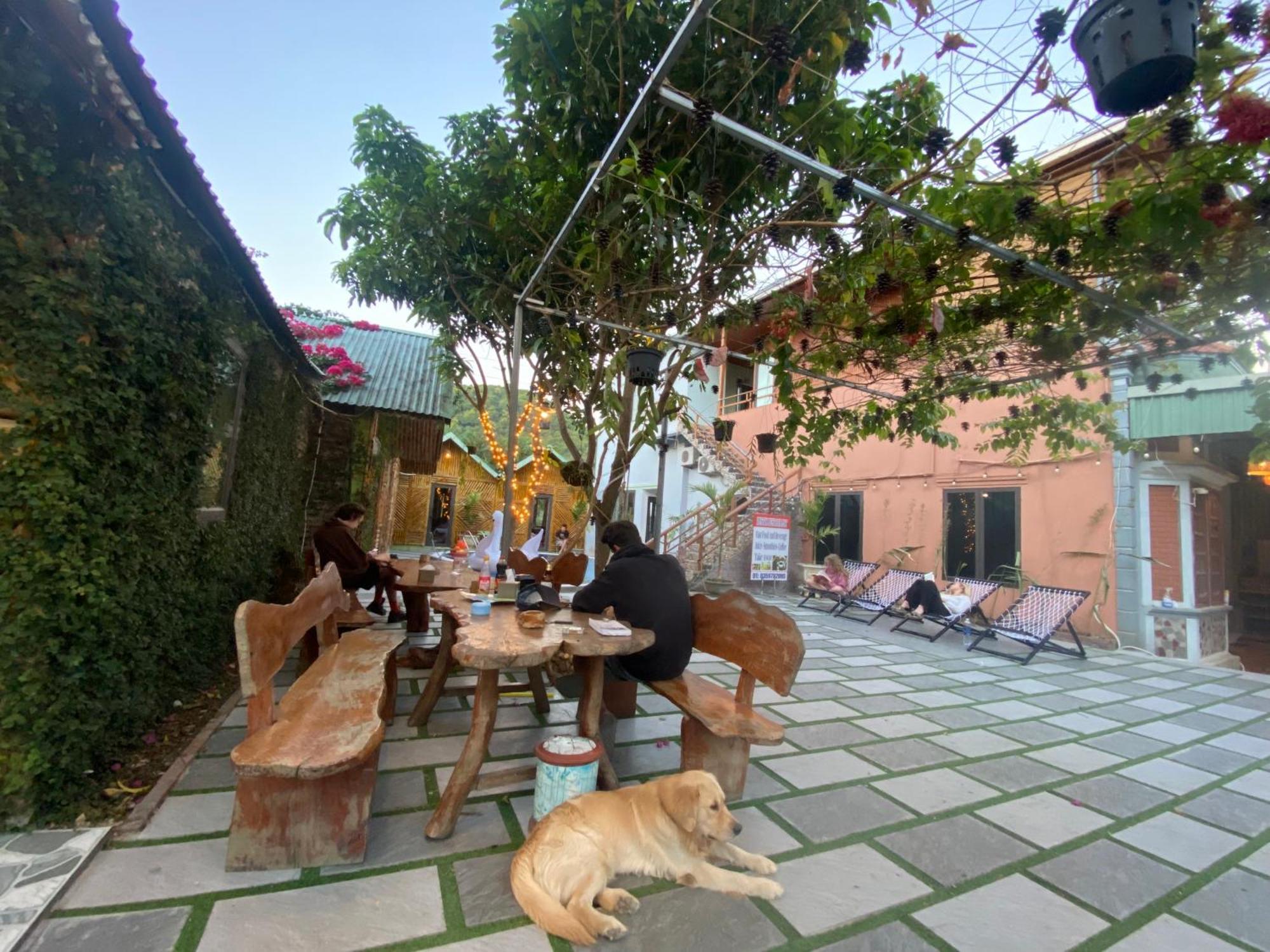 Cat Ba Rustic Homestay Hien Hao Exterior foto