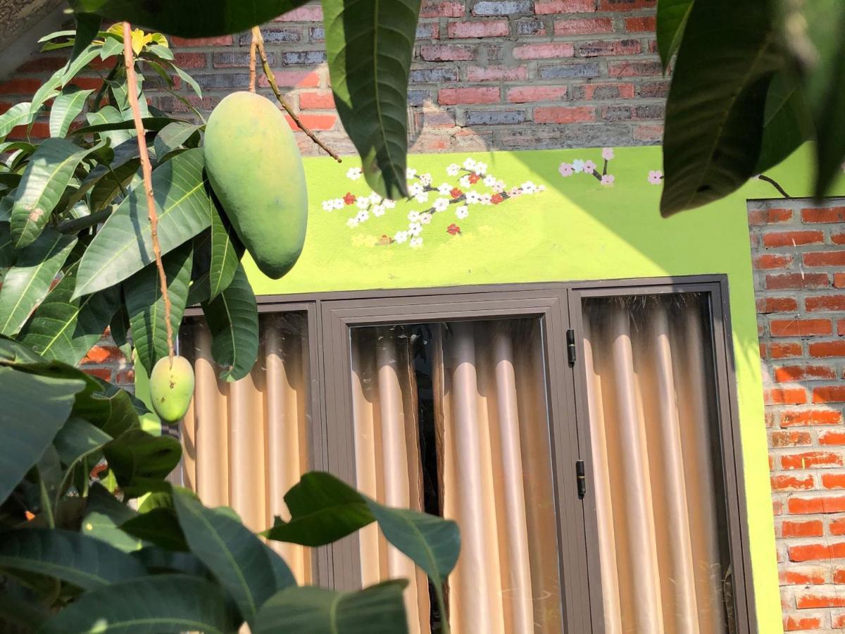 Cat Ba Rustic Homestay Hien Hao Exterior foto